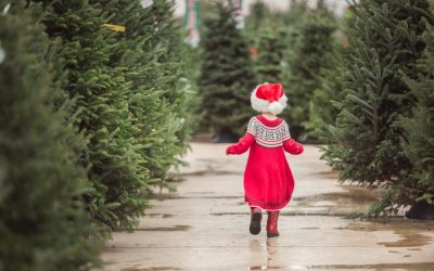 A Christmas Tree for the Family